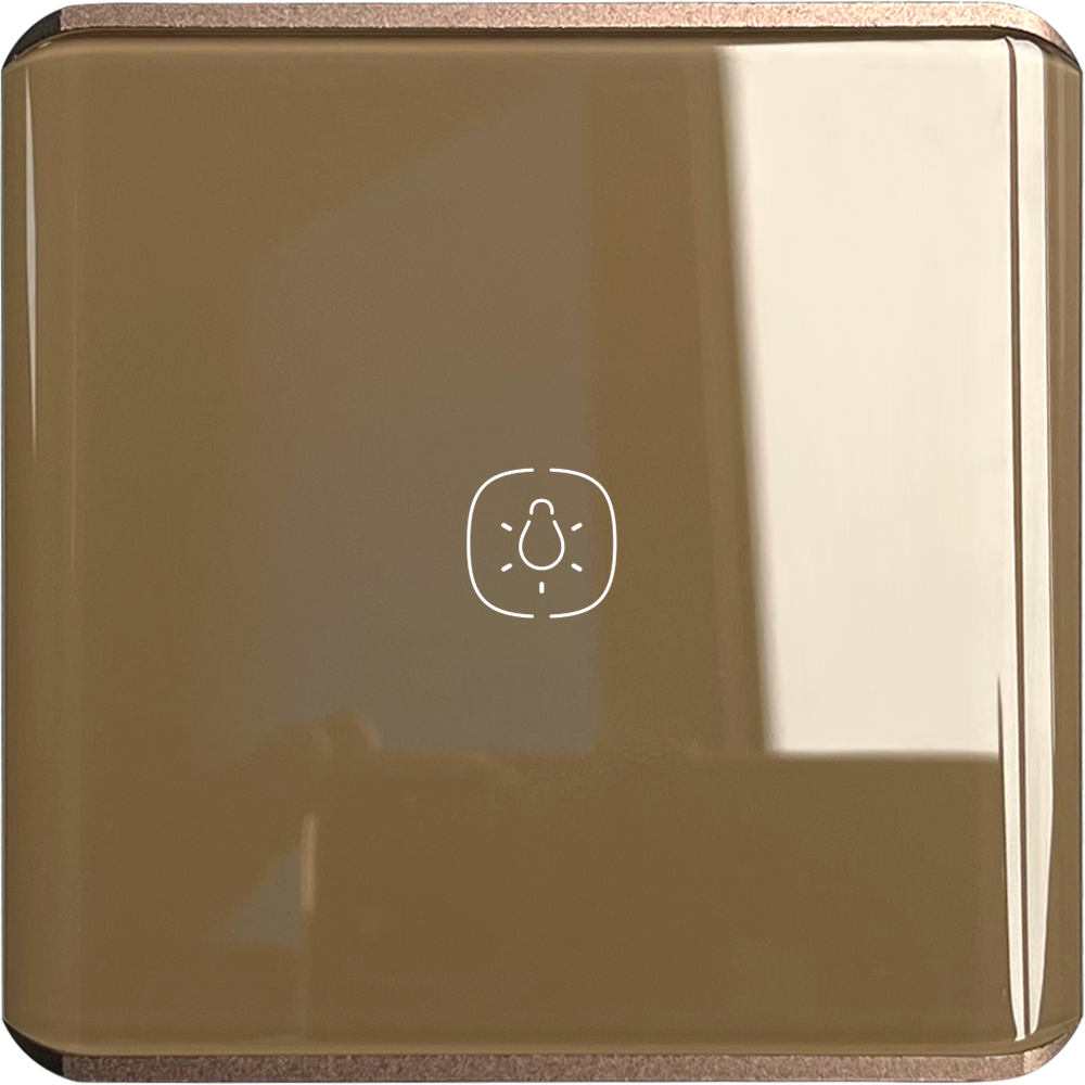 One gang Light WIFI Switch