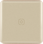 One gang Light WIFI Switch