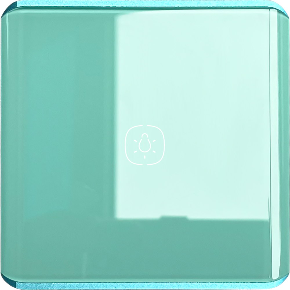 One gang Light WIFI Switch