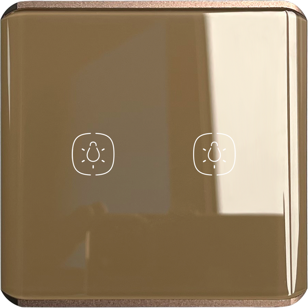 2 gang Light ZigBee Switch