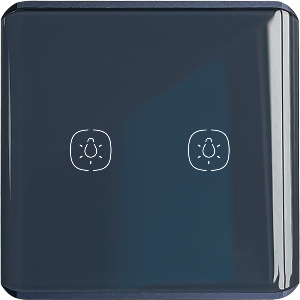 2 gang Light ZigBee Switch