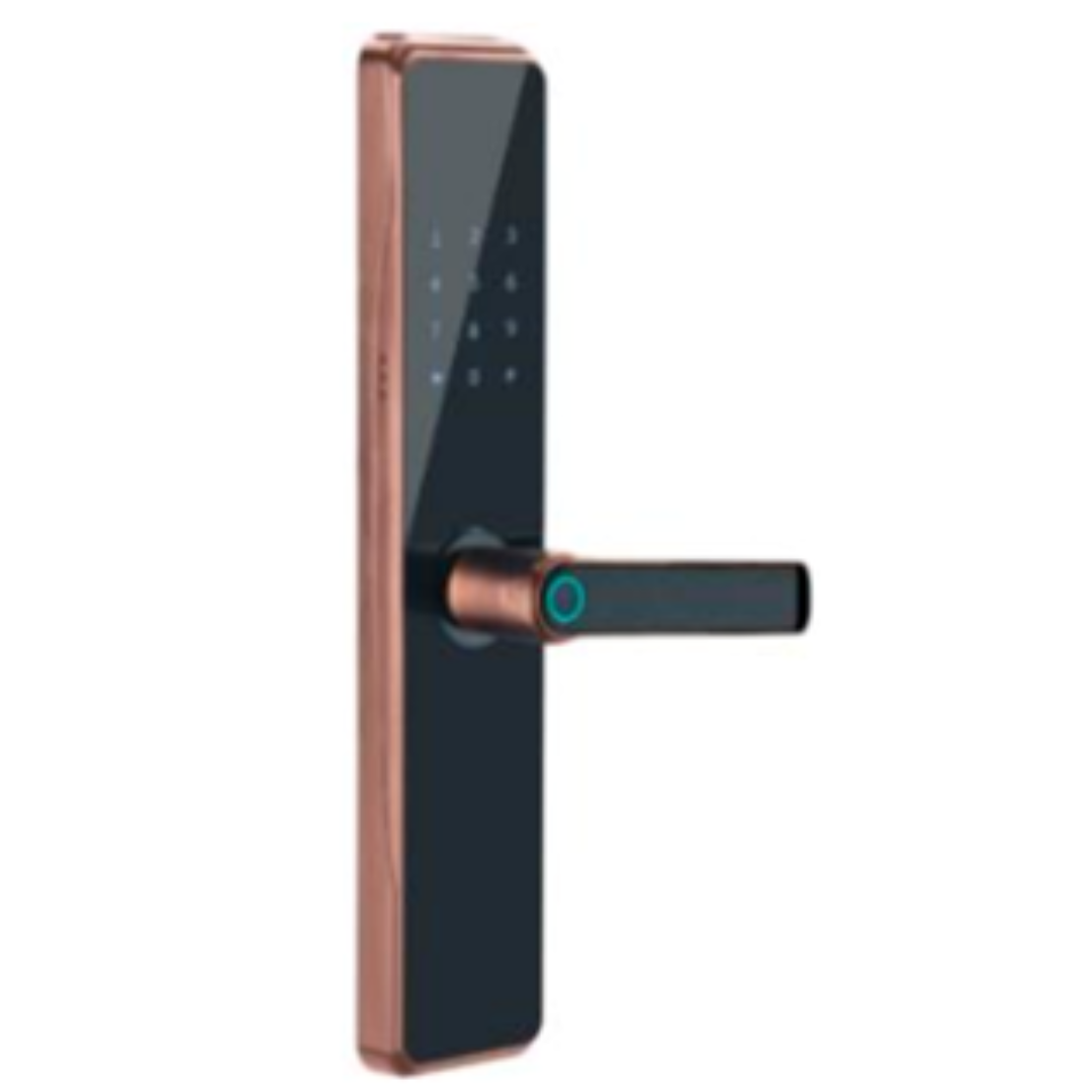M-004 Door lock ZigBee