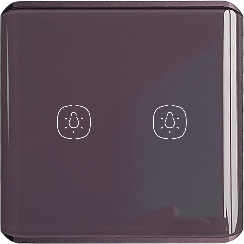 2 gang Light ZigBee Switch