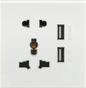 Multifunctional five-hole socket with USB
