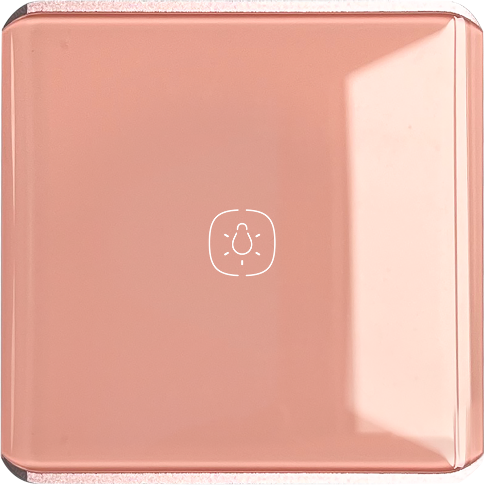 One gang Light WIFI Switch